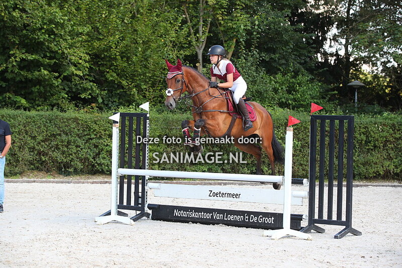 PV Midland Zomerconcours 28-07-2024 Paarden 70/80/90 cm