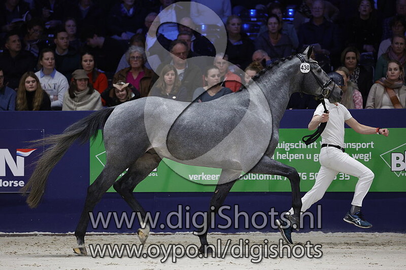 Rishano Fornaio v. Kjento - 430