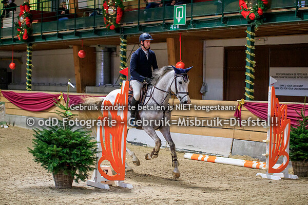 NY Jumping Warredal Finals 5y Horses 08-01-22