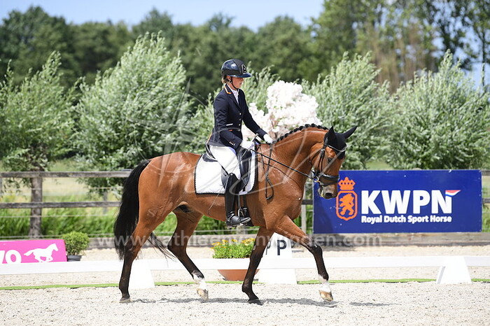 Rosalie Scheermeijer - Orinoco