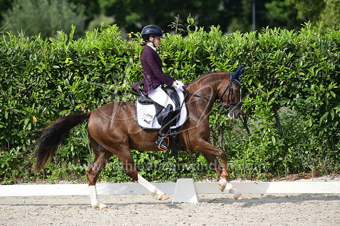 Esmae Niessen - Strandgaards Do it My Way