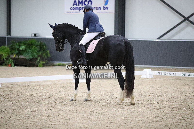De Voornruiters De Meern Dressuur 25-11-2023 16.08-17.46 uur
