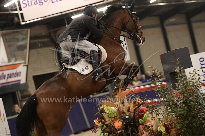 Morten Djupvik - Indy