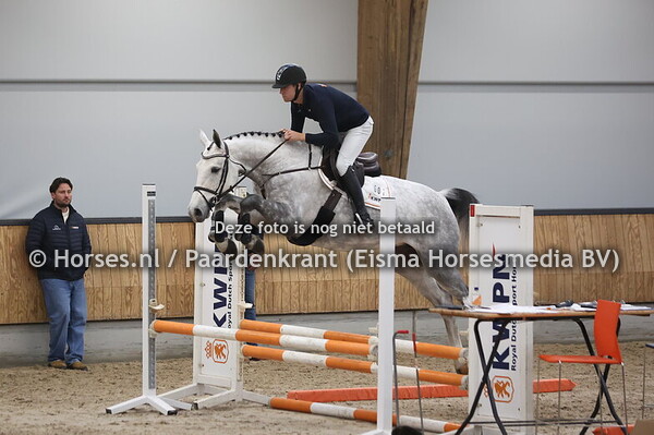 1 Oceane (Zirocco Blue x Kamille v. Comme il faut)