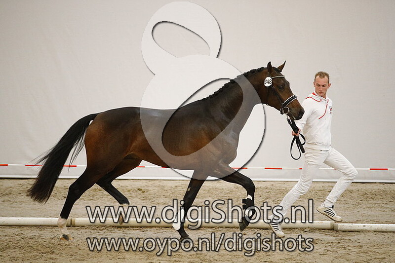 348 Leonardo AF v. Desperado