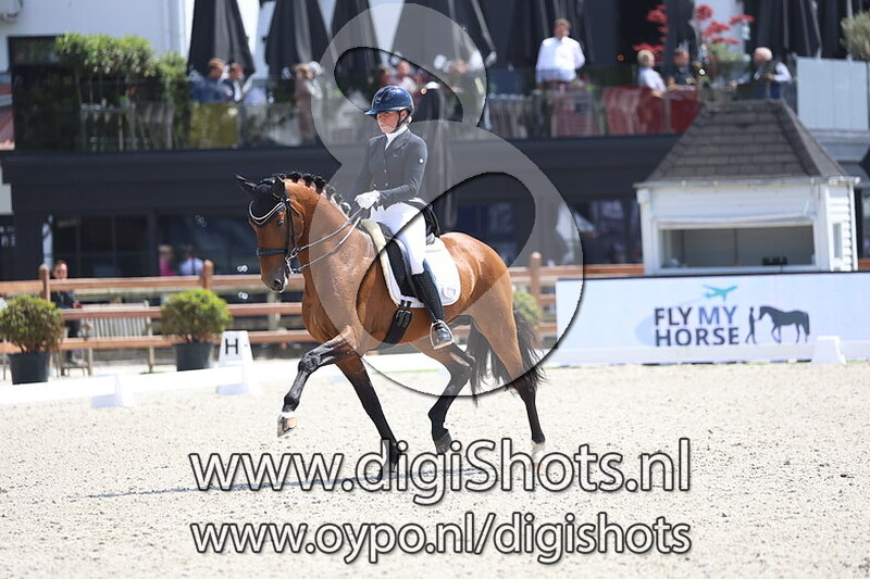 Mantovanis Nuelo Das Lezirias