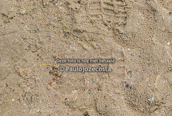 outdoor beukers ponys 29/05/2025