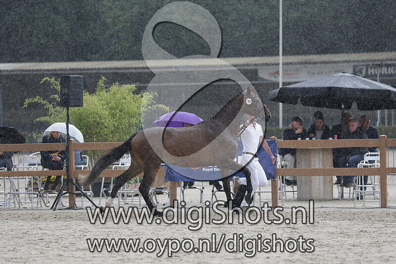 Signorita ES v. Emerald van t Ruytershof