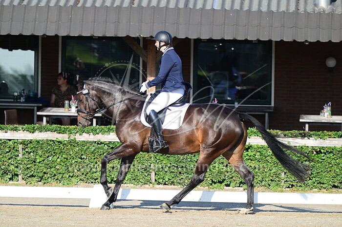 Aida de Reede - Nadesha