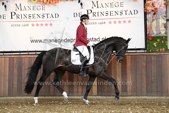 Sharona Vermaat - Orestes