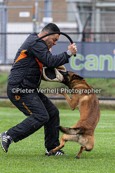 Birggite Pronk met Zwerver