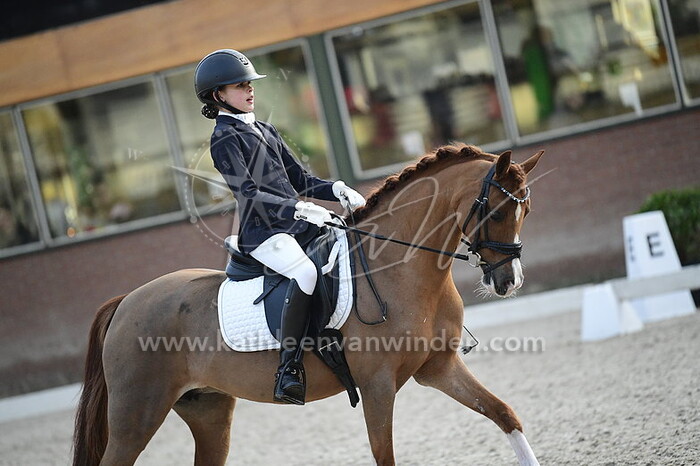 Maddy Pessel - Henshof Esmee