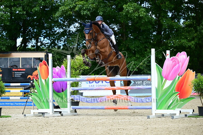 Liv Huijbregts - Fame DK