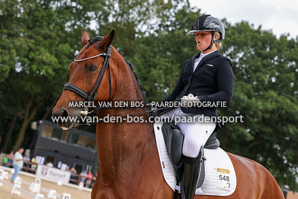 20230721-Ring-3-100-paard-ZZL - nr1 - nr5