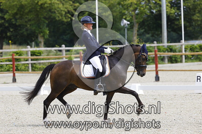 Maurik's Roberto Cavalli