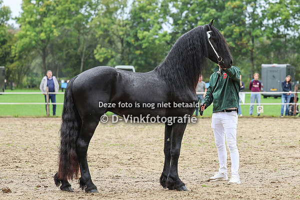 48. Toy Boy van Zomerstaete