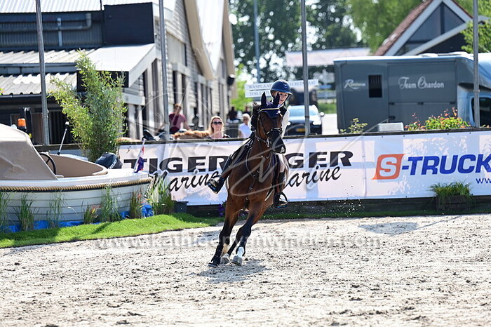 Mienie Vos - Asterix