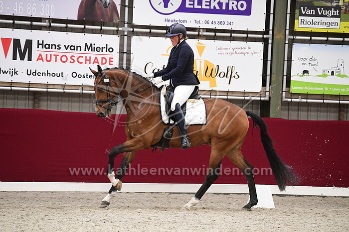 Charell van Hoff - Pardijn