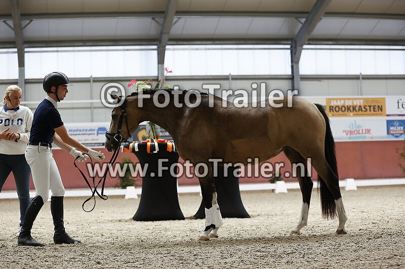 clinic dutch pony championships