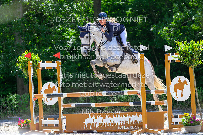 13 Rijstijl paarden 1.00 cm MB-ZB