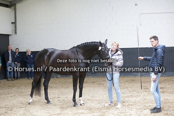 10 Maresia (For Romance x Caresia v. Daddy Cool)