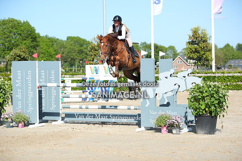 Zilfia's Hoeve 17-05-2025 springen Paarden 120 cm