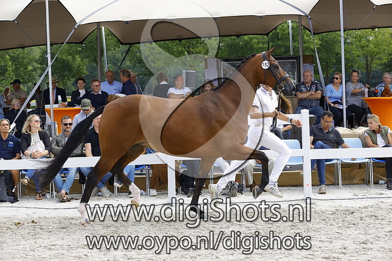 152 Novelty v. Incognito