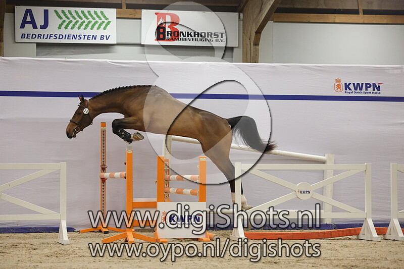 Empire van de Hogeborg Z