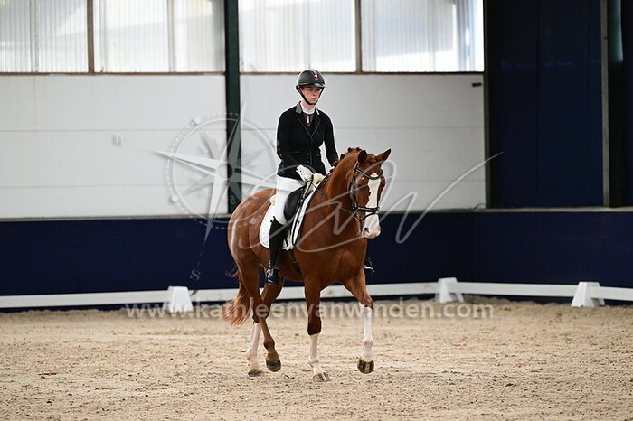 Marlotte de Man - Ouzo