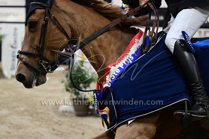 Pieter-jan de Visser - For2day Z