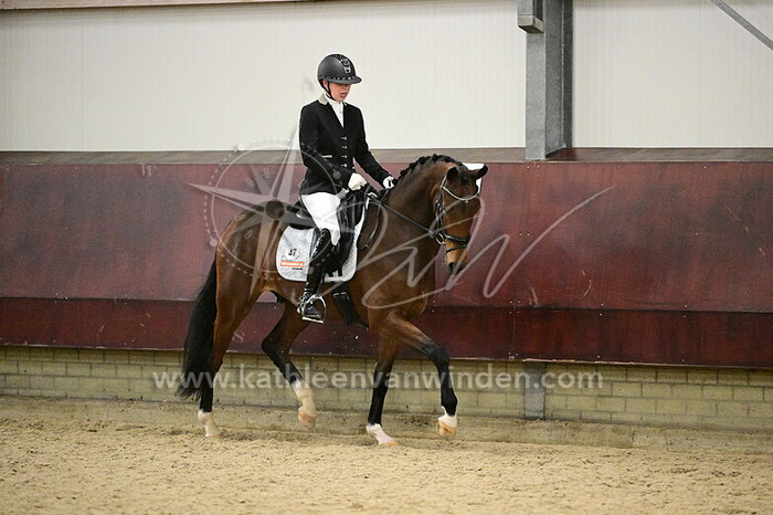 Liza de Vogel - Savage RVS