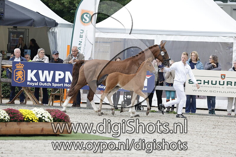 Vinesse RTS v. Alexandro P