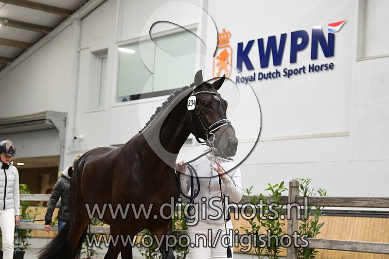 Rambo v. Dream Boy - 334