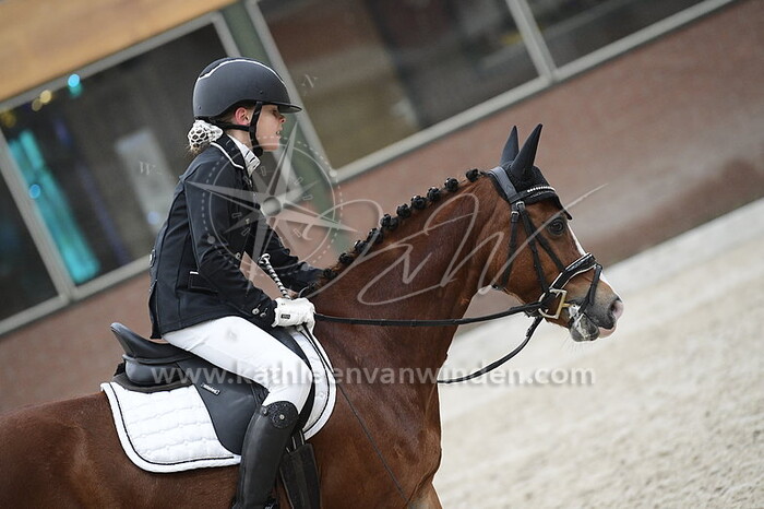 Babette Boere - Cesar