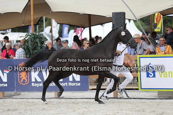 211 Olivera van het Rodeland