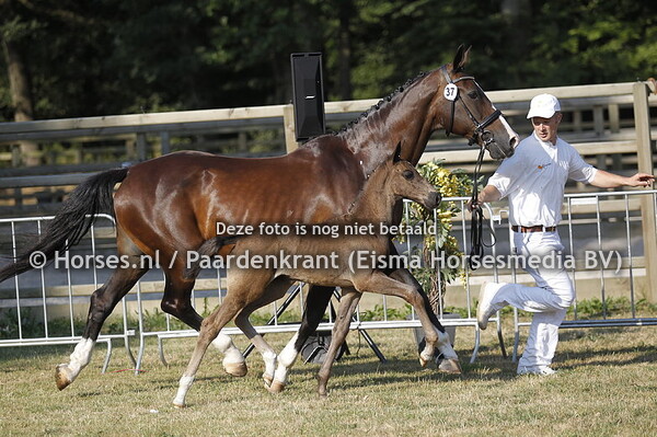 37 Nora Jane v Henkie