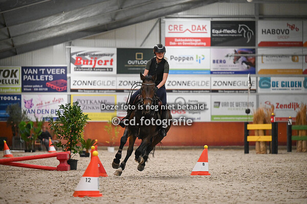 Zadelrubriek Paard (18 okt)