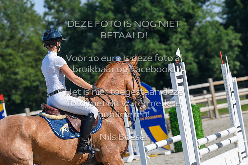 3 Klasse Paarden 80cm