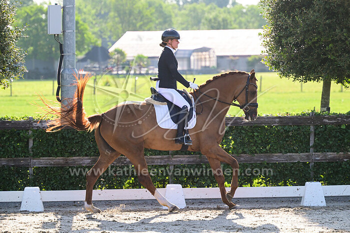 Denise Brouwer - Onique