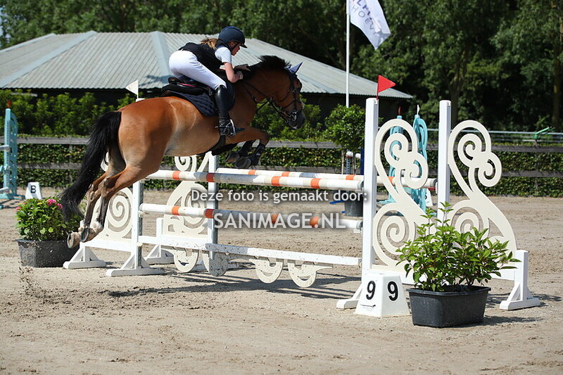 Houten Springen Pony's 29-06-2025 100-110 cm