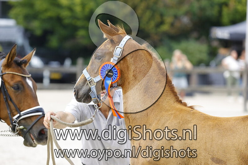 Toro Rosso KB v. Le Formidable