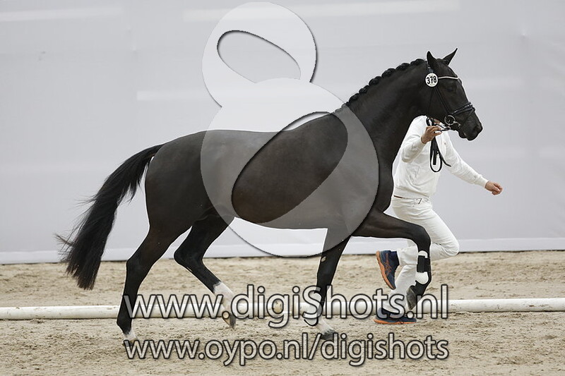 Parero v. Glocks Toto Jr - 378