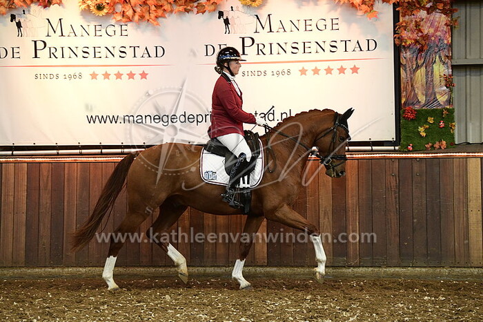 Natasha Vosveld - Orange