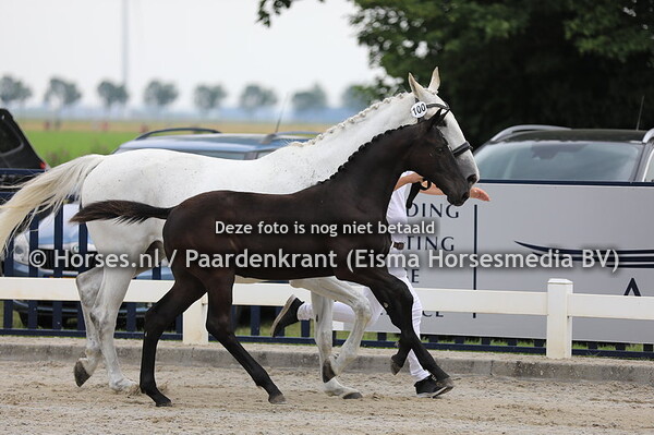 100 Olympic Glasgow v Glasgow W vh