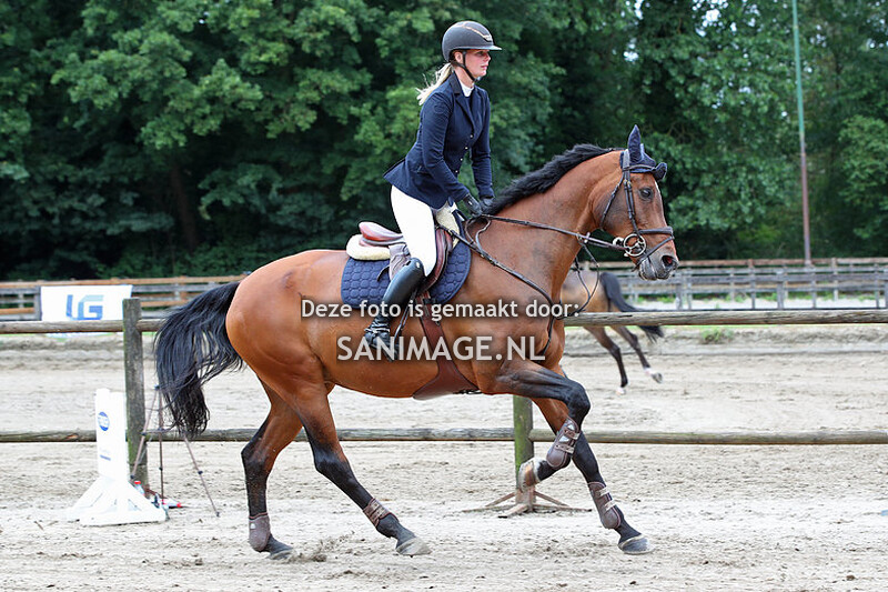PV Midland Zomerconcours 02-07-2023 90 cm