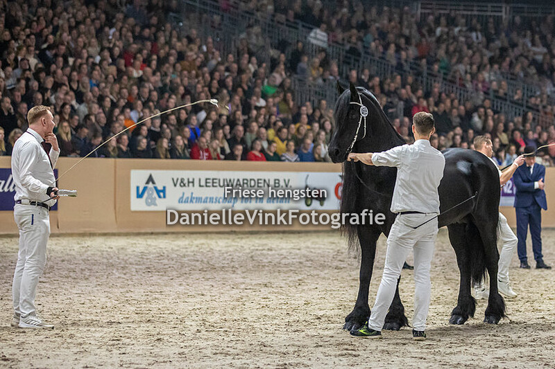 Hengstenkeuring 2023 Alwin 469