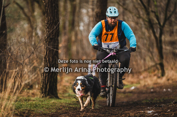 Bosschenhoofd - Bike