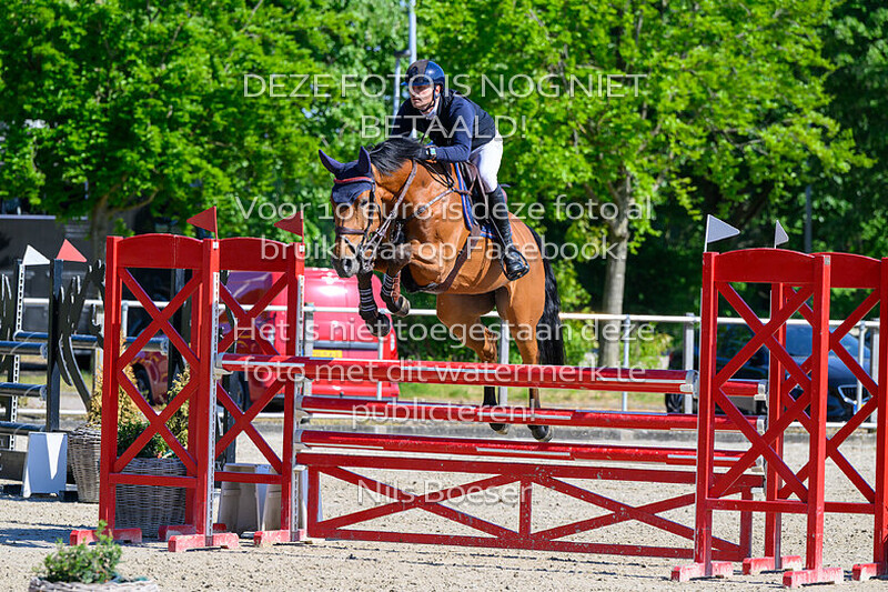 4 vrijdag  1.20m paarden