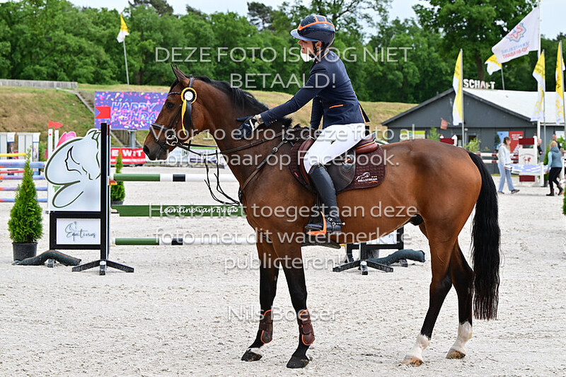 5 Jonge paarden springen 5 jarige. 105 cm