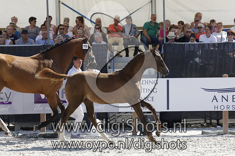 Thalialinja CT v. Mclaren